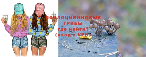 дмт Алексеевка